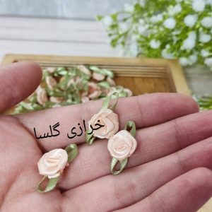شکوفه رز روبانی رنگ گلبهی