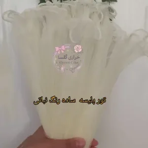 تور پلیسه ساده خارجی  رنگ نباتی